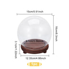 Lot de cloches en verre