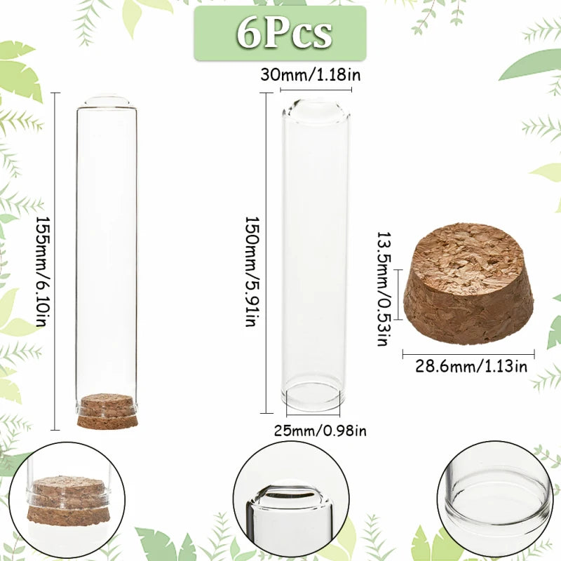 Lot de cloches en verre