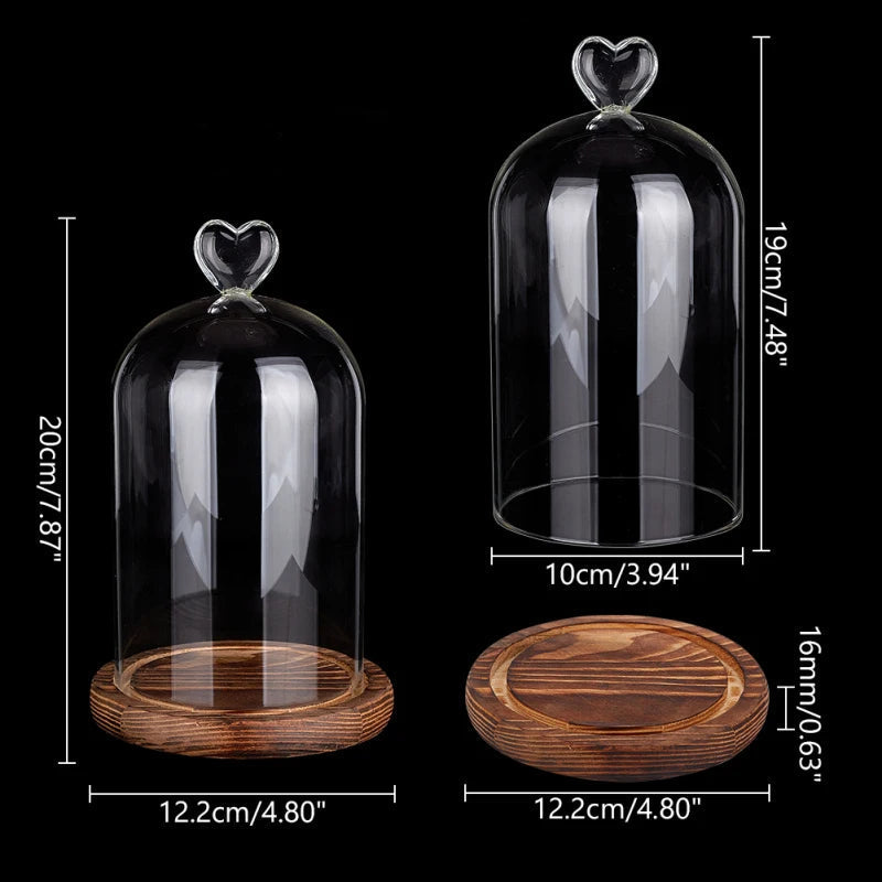 Lot de cloches en verre