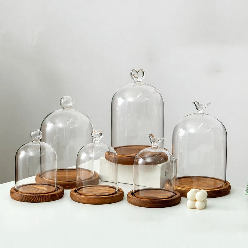 Cloche en verre avec base en bois