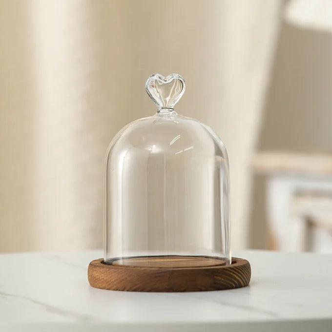 Cloche en verre avec base en bois