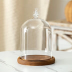 Cloche en verre avec base en bois