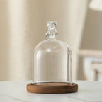 Cloche en verre avec base en bois