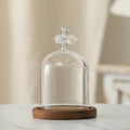 Cloche en verre avec base en bois