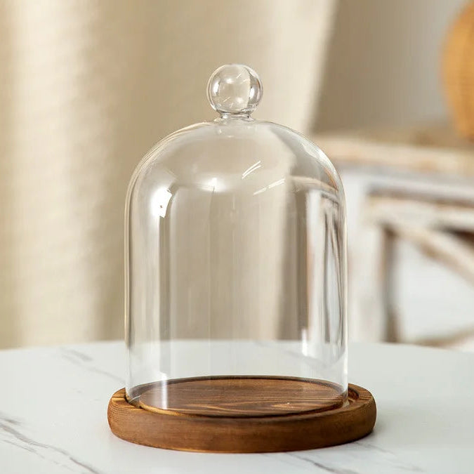 Cloche en verre avec base en bois
