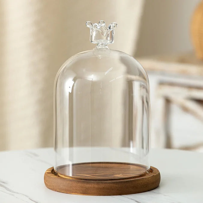 Cloche en verre avec base en bois