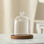 Cloche en verre avec base en bois