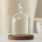 Cloche en verre avec base en bois