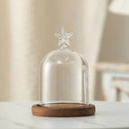 Cloche en verre avec base en bois