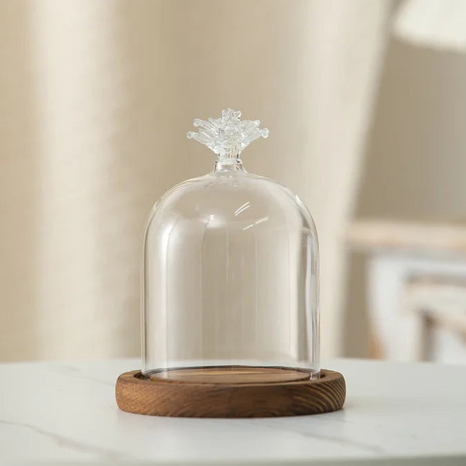 Cloche en verre avec base en bois
