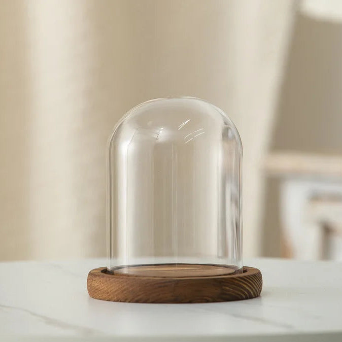 Cloche en verre avec base en bois
