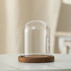 Cloche en verre avec base en bois
