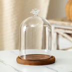 Cloche en verre avec base en bois