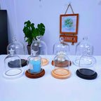 Cloche en verre avec base en bois