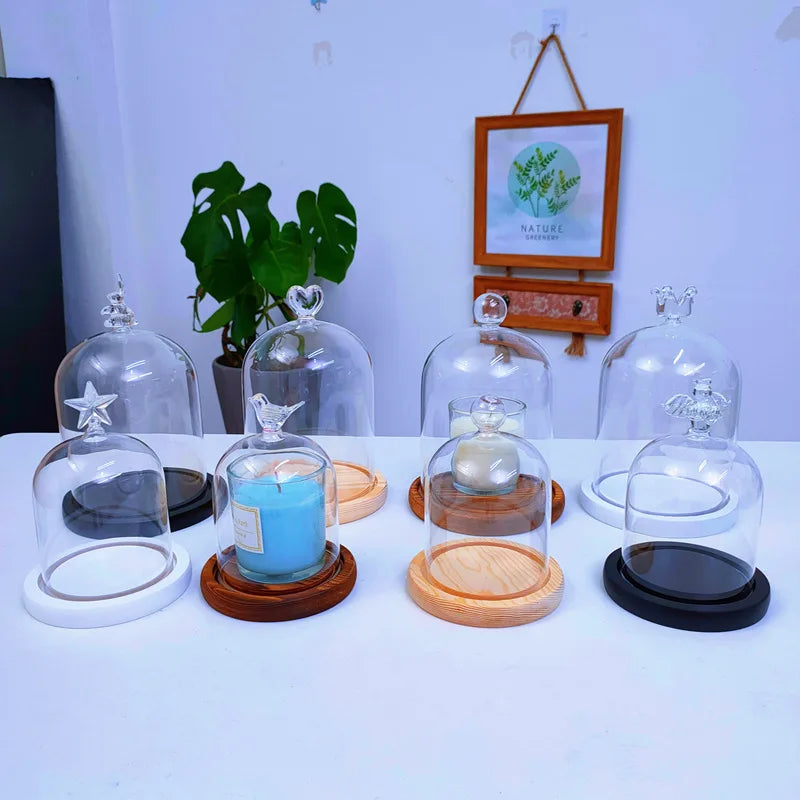 Cloche en verre avec base en bois