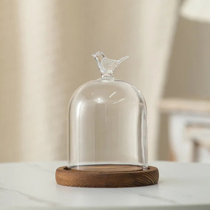 Cloche en verre avec base en bois