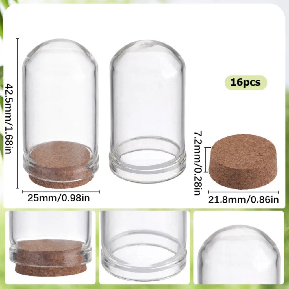 Lot de cloches en verre