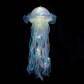 Lanterne meduse