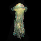 Lanterne meduse