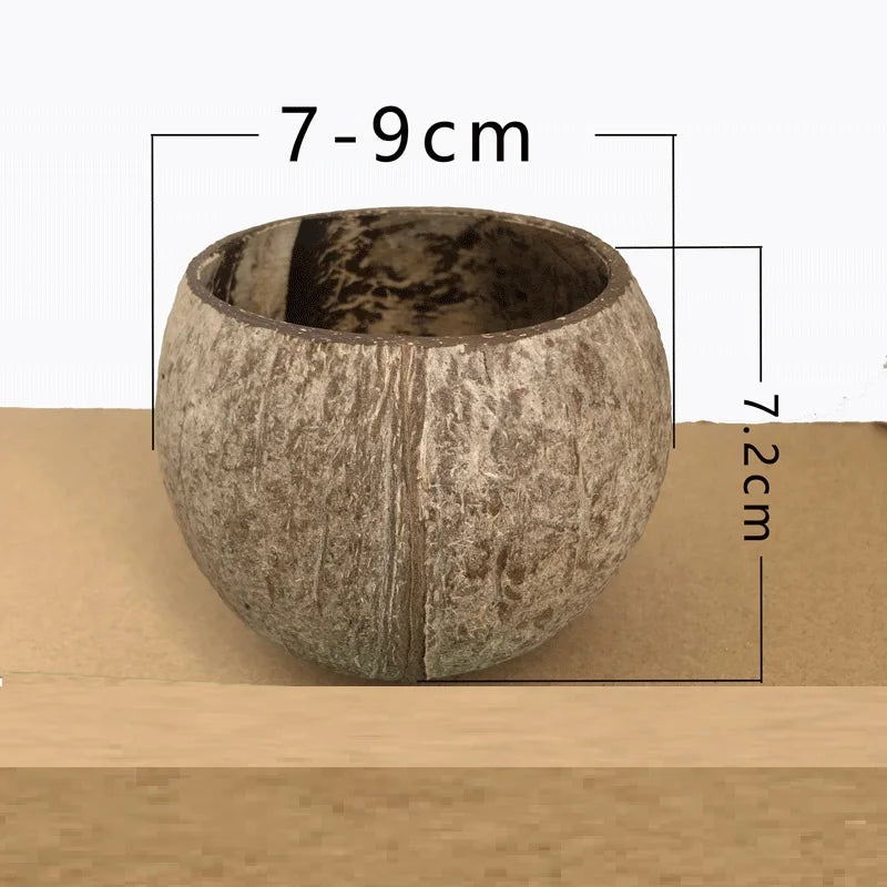 Photophore noix de coco