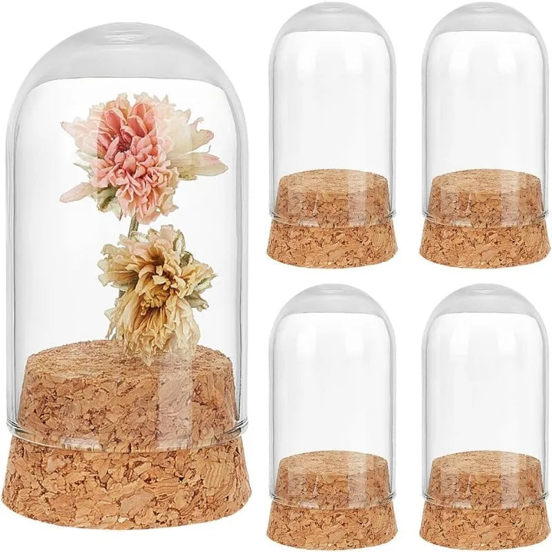 Lot de cloches en verre